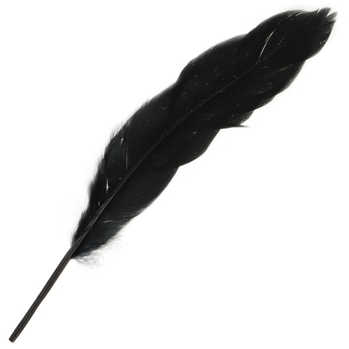 Ohmama – L’Essentiel du Jeu à Deux