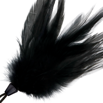Rituel d’Exception – Évasion